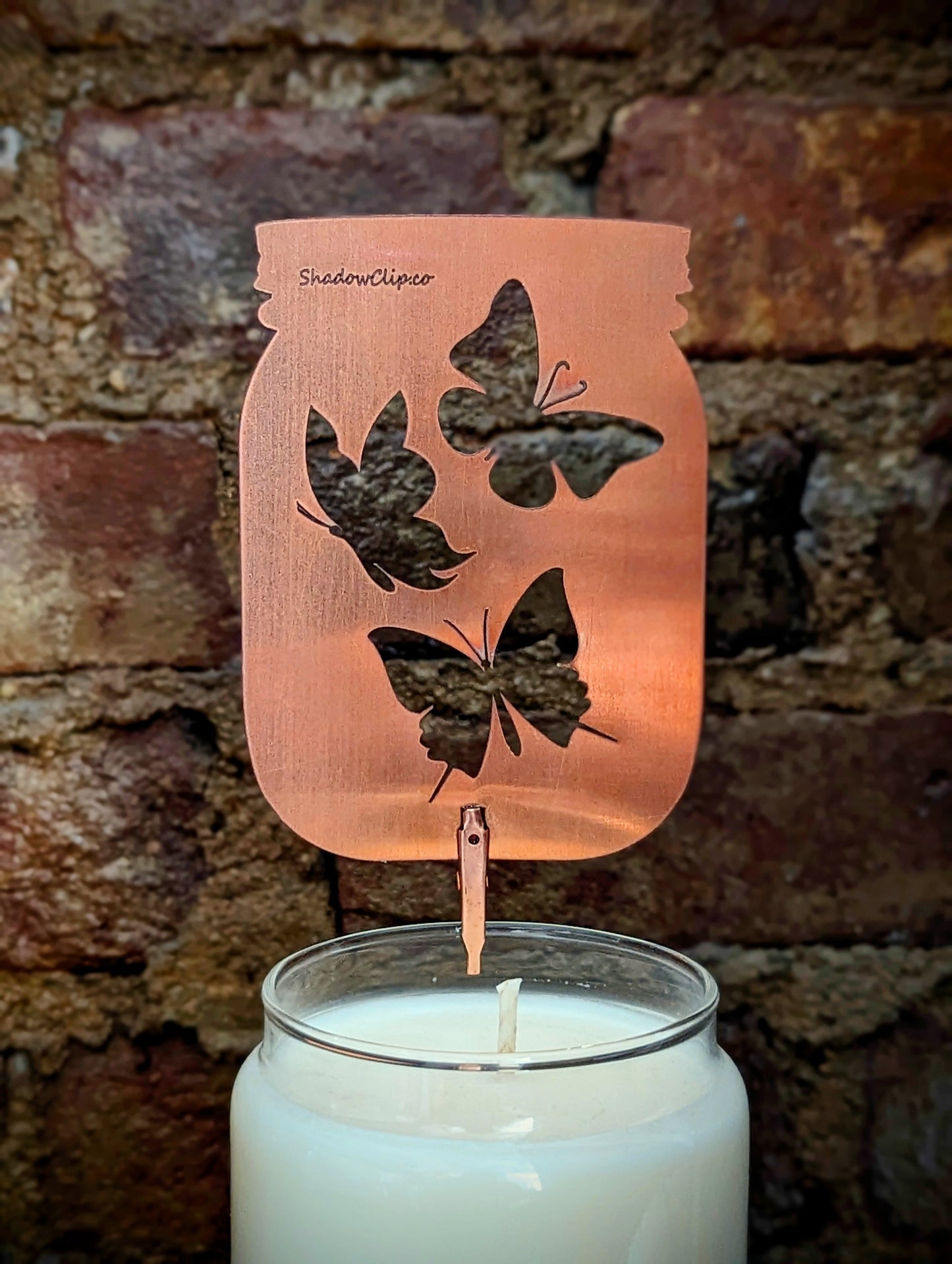 Butterfly Jar